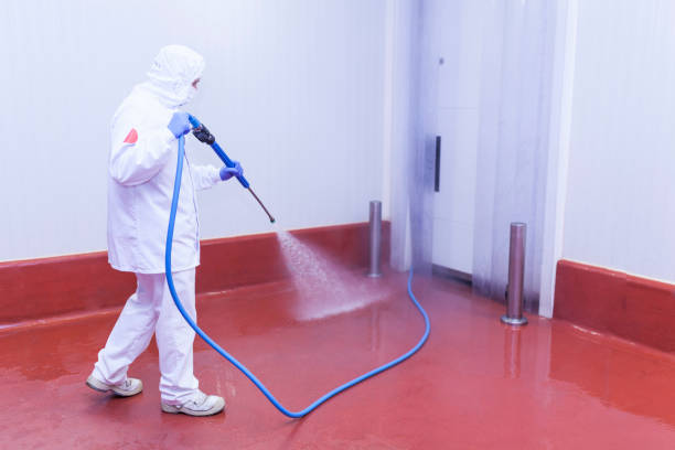Best Rust Removal  in Milton, FL
